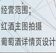 成都印諾商務信息咨詢